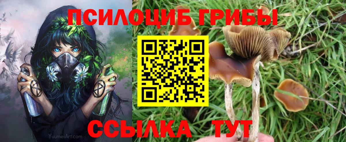Галлюциногенные грибы Magic Shrooms  Галлюциногенные грибы мухоморы  Валуйки 