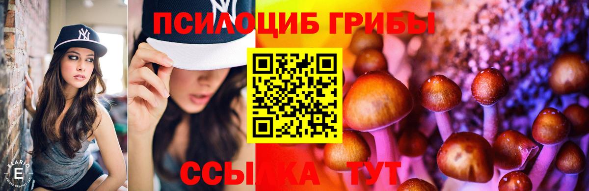 Валуйки  Галлюциногенные грибы Psilocybine cubensis  даркнет сайт  Галлюциногенные грибы Cubensis  Вход с VPN 