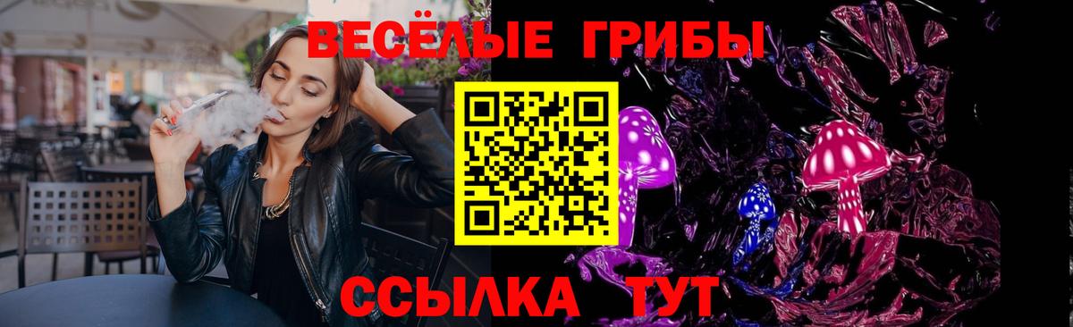 Псилоцибиновые грибы Psilocybine cubensis Валуйки
