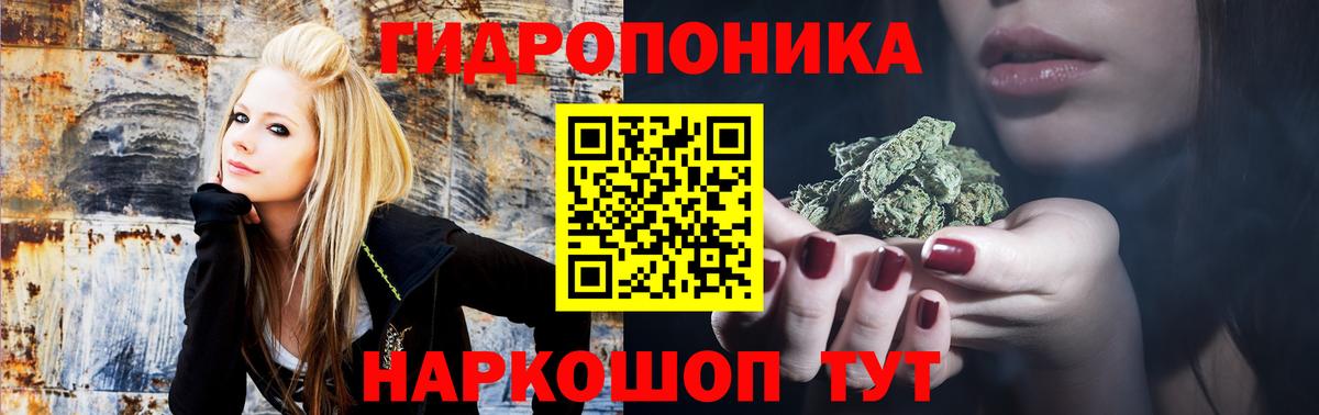 Бошки Шишки OG Kush  Бошки Шишки ГИДРОПОН  Бошки Шишки THC 21%  Валуйки  Вход с VPN  Каннабис сатива 